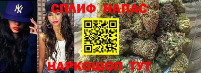 гидропоника Заволжье