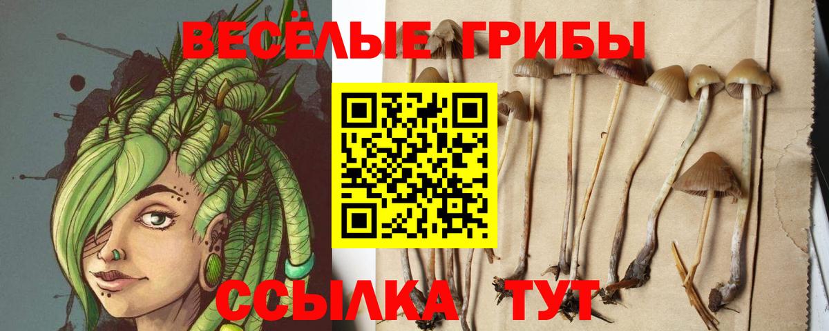 Галлюциногенные грибы прущие грибы Надым